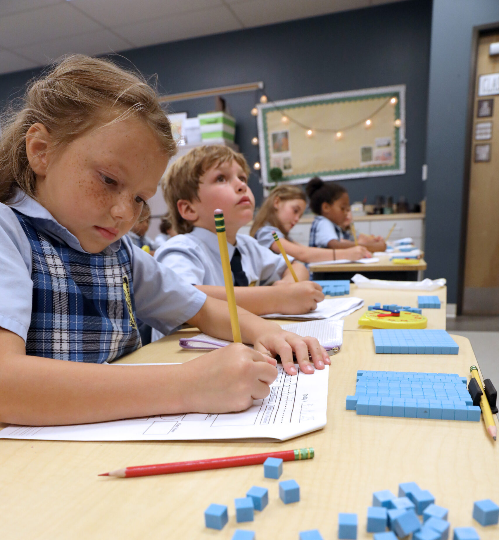 Integrity